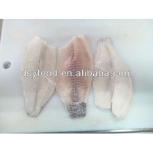 Frozen Tilapia fillet fish